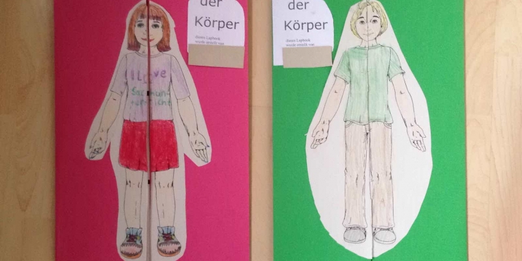 Die 4b gestaltet ein Lapbook zum Thema „Körper“