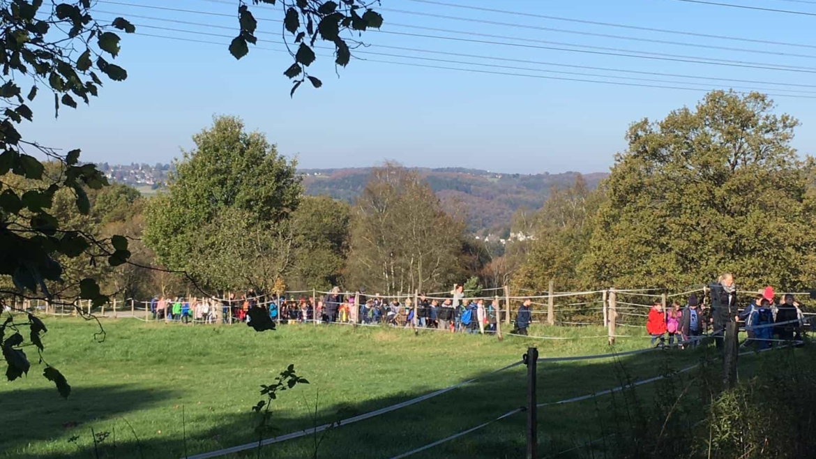 Herbstwanderung 31.10.2019