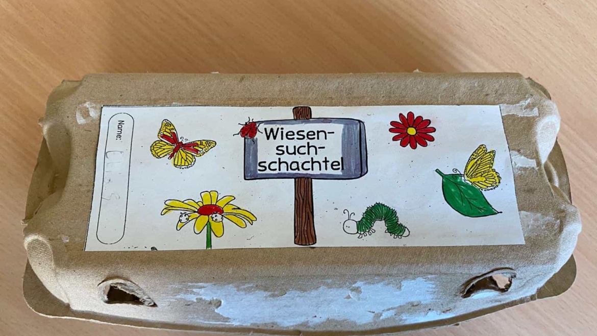 Sachunterrrichtsthema „Die Wiese“ – Die ELMARs der Klasse 3A präsentieren ihre Wiesensuchschachteln 🌱☘️🌿🌼🌾