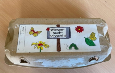 Sachunterrrichtsthema „Die Wiese“ – Die ELMARs der Klasse 3A präsentieren ihre Wiesensuchschachteln 🌱☘️🌿🌼🌾