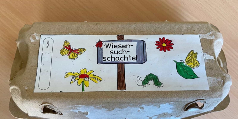 Sachunterrrichtsthema „Die Wiese“ – Die ELMARs der Klasse 3A präsentieren ihre Wiesensuchschachteln 🌱☘️🌿🌼🌾