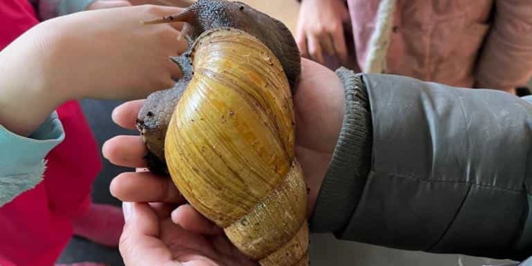 Die ELMAR-Klasse 1a zu Besuch bei der „Station Natur und Umwelt“